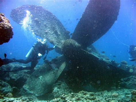 Oshima Island Shipwreck Story